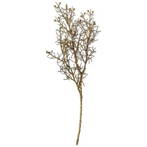 Vestre Artificial Dry Look Cypress Spray, Pack of 3 by Casa Bella, a Plants for sale on Style Sourcebook