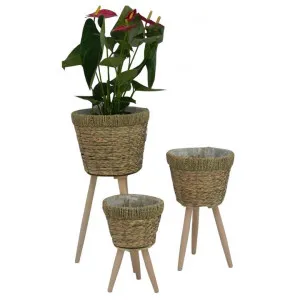 Okaba 3 Piece Seagrass Tripod Planter Set by Casa Uno, a Plant Holders for sale on Style Sourcebook