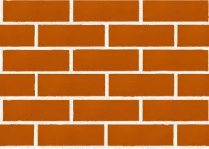 Burlesque - Bursting Orange by Austral Bricks, a Bricks for sale on Style Sourcebook