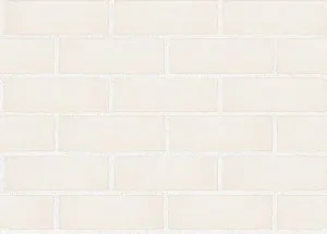 Thin Brick - Glazed White by Austral Bricks, a Bricks for sale on Style Sourcebook