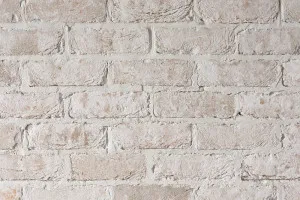 Thin Brick - Limewash by Austral Bricks, a Bricks for sale on Style Sourcebook