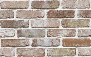 Thin Brick - Reclaimed Original by Austral Bricks, a Bricks for sale on Style Sourcebook