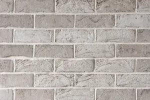 Thin Brick - Cloudy Silver by Austral Bricks, a Bricks for sale on Style Sourcebook