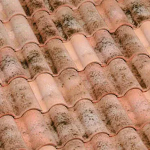 Curvado - Aitana by Bristile Roofing, a Roof Tiles for sale on Style Sourcebook