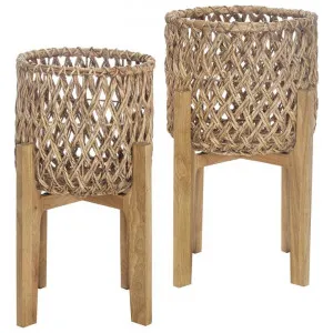 Amalfi Finlee 2 Piece Water Hyacinth & Timber Planter Pot Stand Set by Amalfi, a Plant Holders for sale on Style Sourcebook