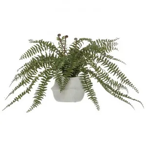 Rogue Handcrafted Artificial Boston Fern in Maliah Pot, 60cm by Rogue, a Plants for sale on Style Sourcebook