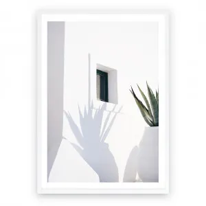 Cactus Shadow Photo Art Print by The Print Emporium, a Prints for sale on Style Sourcebook