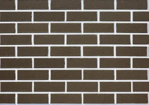 Pure Earth - Jackson (Smooth) by Austral Bricks, a Bricks for sale on Style Sourcebook