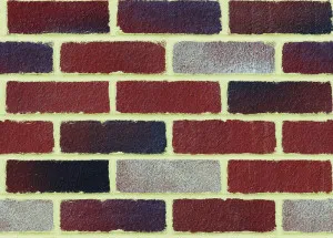 Heirloom Collection - Chidlow (Tumbled) by Austral Bricks, a Bricks for sale on Style Sourcebook