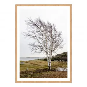 Solitary Tree Framed Print  - 80cm x 100cm by James Lane, a Prints for sale on Style Sourcebook
