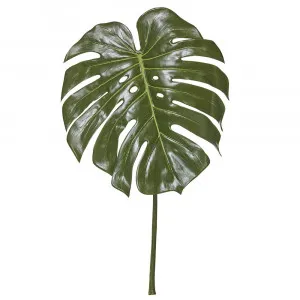 Monstera Leaf Green - 60cm by James Lane, a Plants for sale on Style Sourcebook