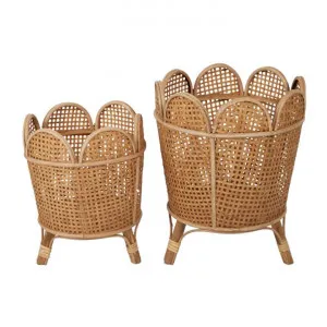 Romelo 2 Piece Rattan Planter Stand Set by Coast To Coast Home, a Plant Holders for sale on Style Sourcebook