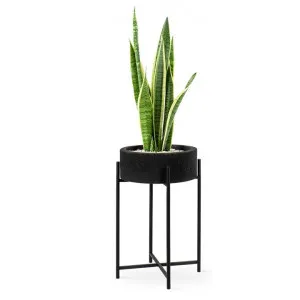 Lyra Commercial Grade Lava Stone & Metal Planter Stand, Small by Superb Lifestyles, a Plant Holders for sale on Style Sourcebook