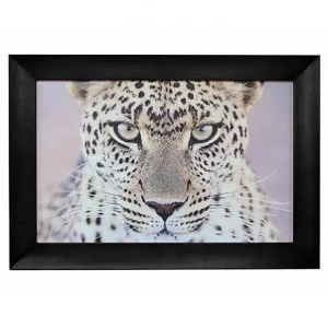 "Leopard Portrait " Framed Wall Art Print, 110cm by Diaz Design, a Artwork & Wall Decor for sale on Style Sourcebook