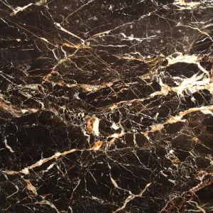 Nero Port Laurent by CDK Stone, a Marble for sale on Style Sourcebook