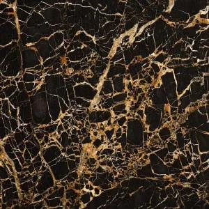 Black & Gold by CDK Stone, a Marble for sale on Style Sourcebook