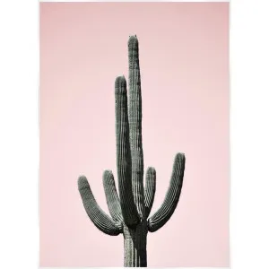 Bold Cactus Canvas Wall Art Print, Saguaro Blush, 140cm by Superb Lifestyles, a Artwork & Wall Decor for sale on Style Sourcebook