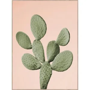 Bold Cactus Canvas Wall Art Print, Barbary Fig, 75cm by Superb Lifestyles, a Artwork & Wall Decor for sale on Style Sourcebook