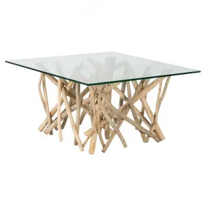 Semarang Glass & Teak Branch Square Coffee Table, 80cm by Casa Uno, a Coffee Table for sale on Style Sourcebook