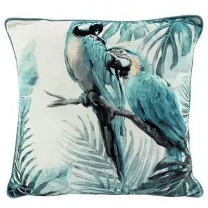 Tropical Macaws Velvet Scatter Cushion by NF Living, a Cushions, Decorative Pillows for sale on Style Sourcebook
