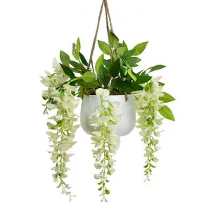 Glamorous Fusion Artificial Wisteria in Hanging Pot, 75cm, Cream Flower by Glamorous Fusion, a Plants for sale on Style Sourcebook