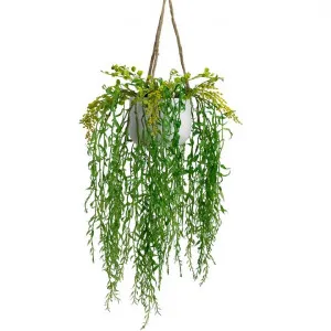 Glamorous Fusion Artificial Weeping Willow in Hanging Pot, 85cm by Glamorous Fusion, a Plants for sale on Style Sourcebook