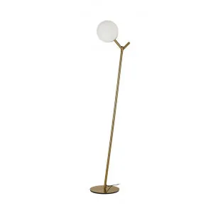 Ohh Metal & Glass Floor Lamp, Antique Gold / Opal by Telbix, a Floor Lamps for sale on Style Sourcebook
