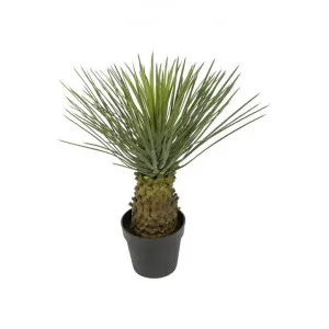 Potted Artificial Hedgehog Grass Tree, 60cm by Florabelle, a Plants for sale on Style Sourcebook