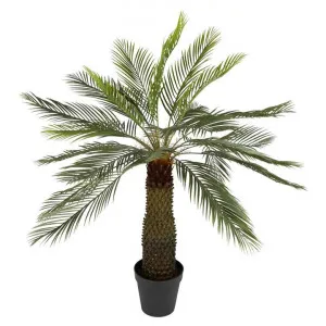Potted Artificial Sago Palm Cycad Tree, 140cm by Florabelle, a Plants for sale on Style Sourcebook