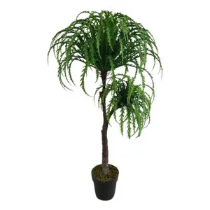Potted Artificial Ribbon Fern Tree, 135cm by Florabelle, a Plants for sale on Style Sourcebook