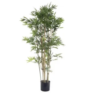 Potted Artificial Japanese Bamboo Tree, 120cm by Florabelle, a Plants for sale on Style Sourcebook