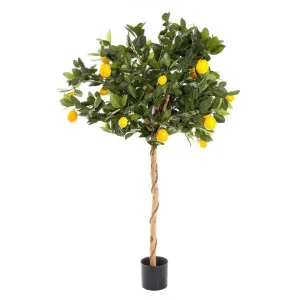 Potted Artificial Lemon Tree, 90cm by Florabelle, a Plants for sale on Style Sourcebook