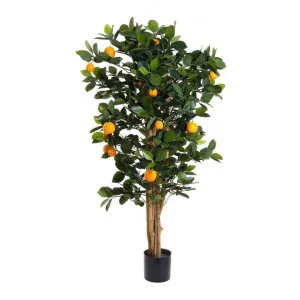 Potted Artificial Orange Tree, 115cm by Florabelle, a Plants for sale on Style Sourcebook