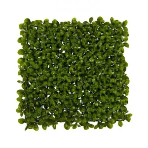 Leura Artificial Boxwood Outdoor Screen, 100x100cm by Florabelle, a Plants for sale on Style Sourcebook