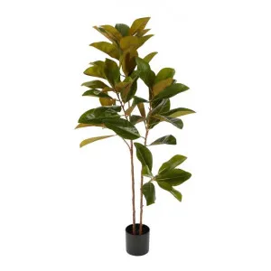 Potted Real Touch Artificial Magnolia Tree, 120cm by Florabelle, a Plants for sale on Style Sourcebook