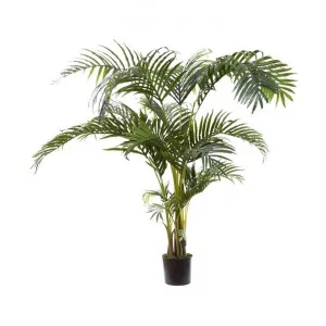 Potted Artificial Kentia Palm Tree, Type B, 150cm by Florabelle, a Plants for sale on Style Sourcebook