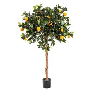 Potted Artificial Orange Tree, 120cm by Florabelle, a Plants for sale on Style Sourcebook