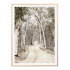 Bushland Track Print  - 85cm x 114cm by James Lane, a Prints for sale on Style Sourcebook