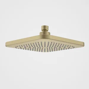 Caroma Luna Overhead Shower Head Brushed Brass by Caroma, a Shower Heads & Mixers for sale on Style Sourcebook