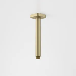 Caroma Luna Straight Arm 210mm Brushed Brass by Caroma, a Shower Heads & Mixers for sale on Style Sourcebook