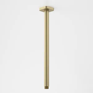 Caroma Luna Straight Arm 410mm Brushed Brass by Caroma, a Shower Heads & Mixers for sale on Style Sourcebook