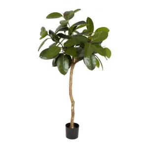 Potted Artificial Rubber Plant, 120cm by Florabelle, a Plants for sale on Style Sourcebook