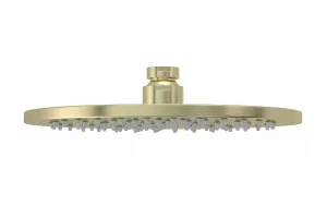 Meir | TIGER BRONZE ROUND SHOWER ROSE 200MM by Meir, a Shower Heads & Mixers for sale on Style Sourcebook