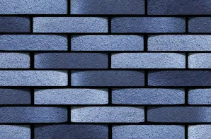 La Paloma Special Shapes - Curved Azul by Austral Bricks, a Bricks for sale on Style Sourcebook