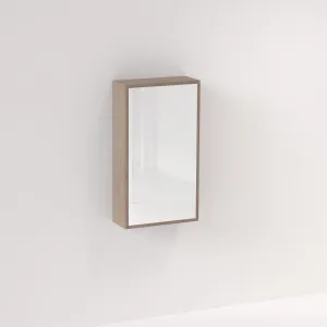 Myra 1 Door Mirror Cabinet 450mm - Pure Oak by ABI Interiors Pty Ltd, a Shaving Cabinets for sale on Style Sourcebook