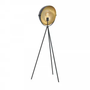 Eglo Darnius Floor Lamp Edison Screw (E27) Black and Gold by Eglo, a Floor Lamps for sale on Style Sourcebook