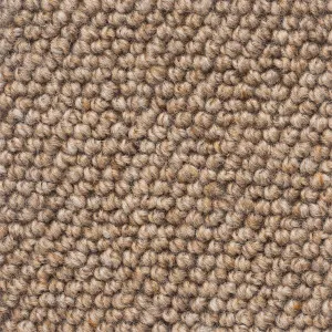 Levante - Raw Brown by Bremworth Lifestyle Collection, a Loop for sale on Style Sourcebook