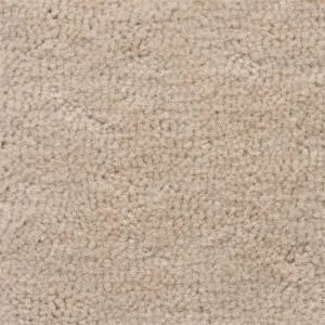 Velluto - Vintage Beige by Bremworth Aspire Collection, a Plush for sale on Style Sourcebook