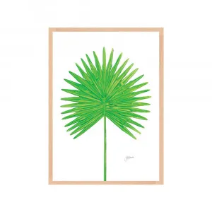 Fan Palm Living Wall Art | CANVAS Tasmanian Oak Boxed Frame A3 (29.7cm x 42cm) by Luxe Mirrors, a Artwork & Wall Decor for sale on Style Sourcebook