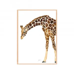 Amber the Giraffe Fine Art Print | FRAMED Tasmanian Oak Boxed Frame A3 (29.7cm x 42cm) by Luxe Mirrors, a Artwork & Wall Decor for sale on Style Sourcebook